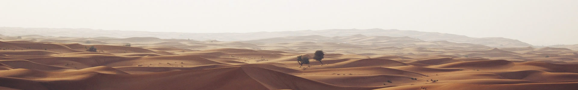 ɽȻƼ޹˾